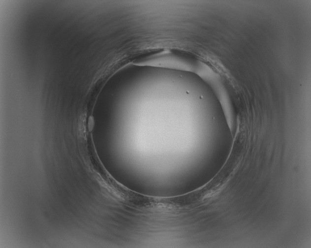 X0000075400585200609151822