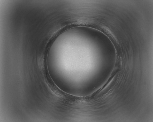 X0000075400588200609151822