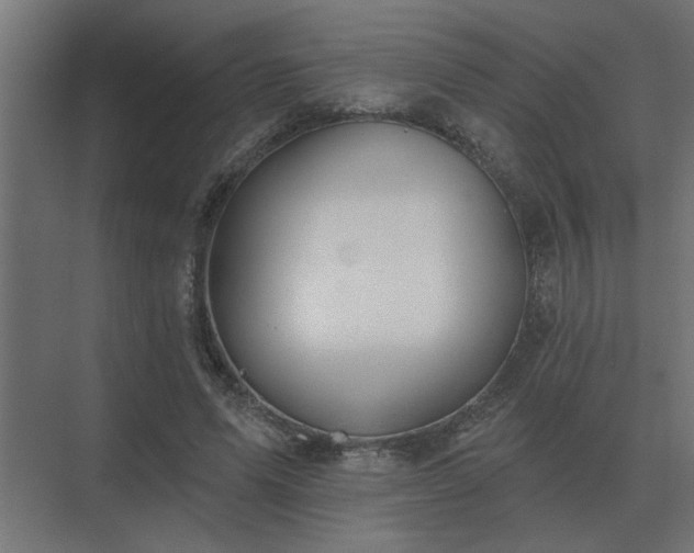 X0000075400591200609151822