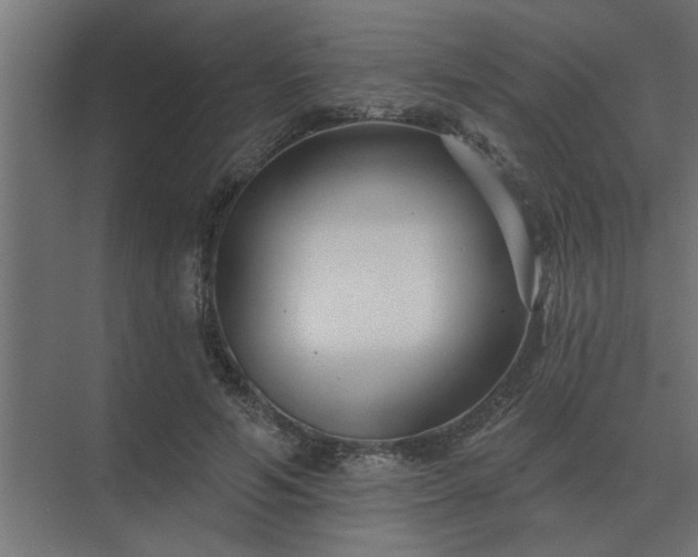 X0000075400594200609151822