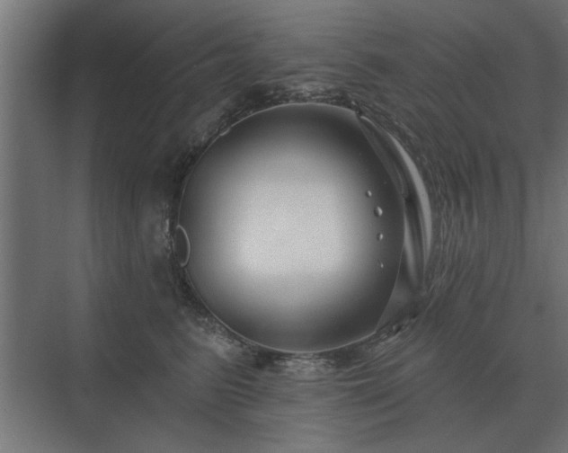 X0000075400615200609151822