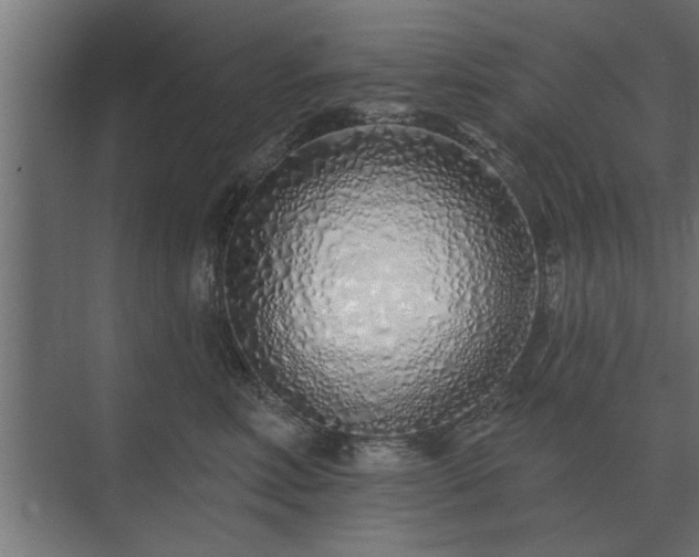 X0000075400618200609151822