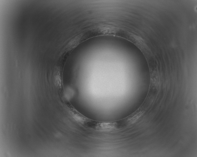 X0000075400622200609151822
