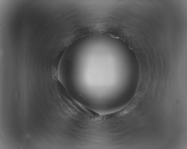 X0000075400624200609151822