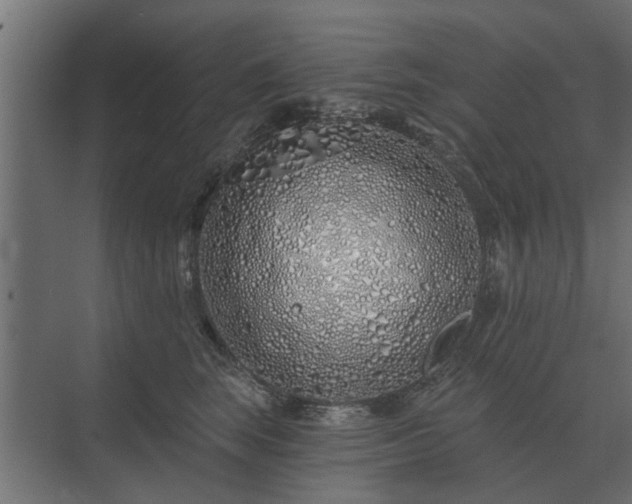 X0000075400663200609151822