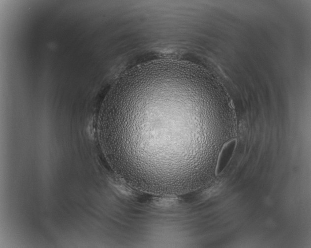 X0000075400671200609151822