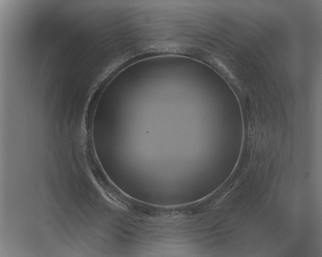 X0000075400674200609151821