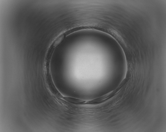 X0000075400676200609151821