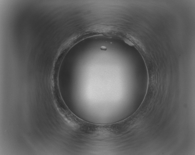 X0000075400682200609151821