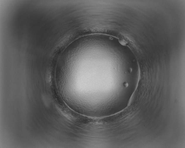 X0000075400687200609151821