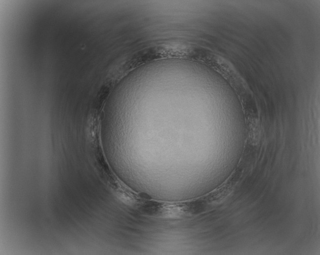 X0000075400701200609151820