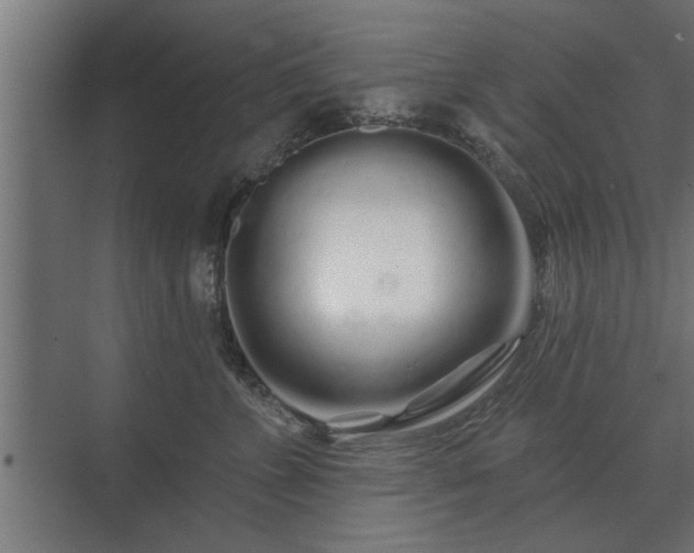 X0000075400715200609151820