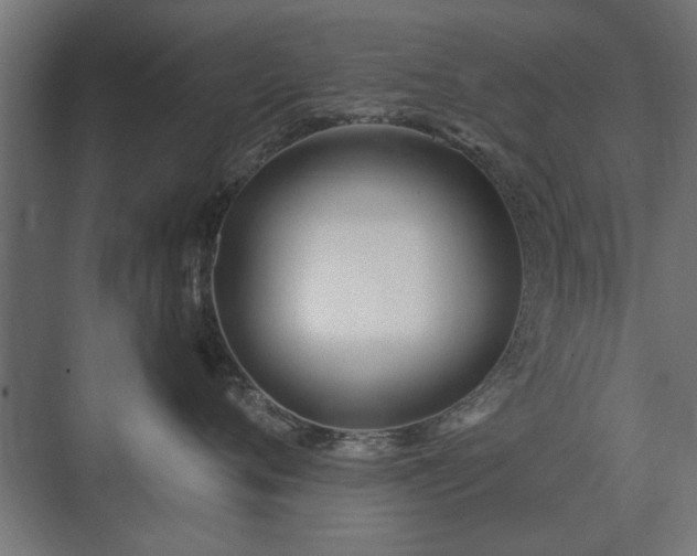 X0000075400720200609151820