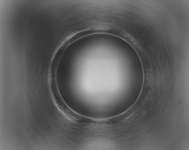 X0000075400726200609151819