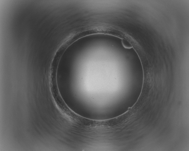 X0000075400730200609151820