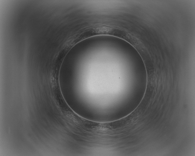 X0000075400743200609151820
