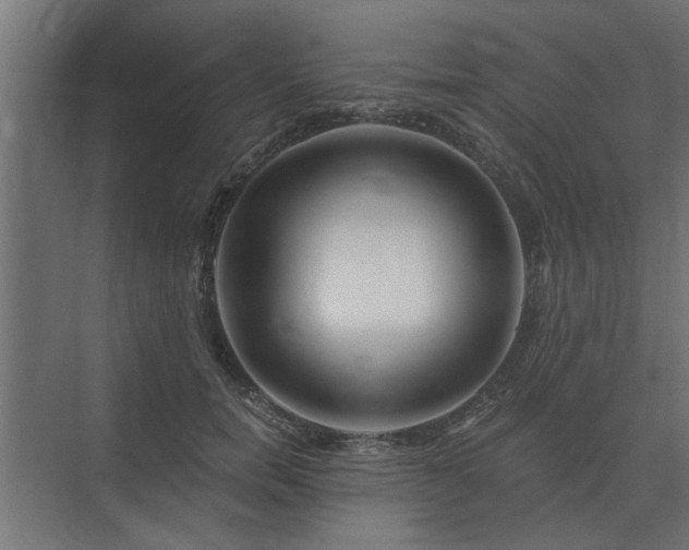 X0000075400750200609151820