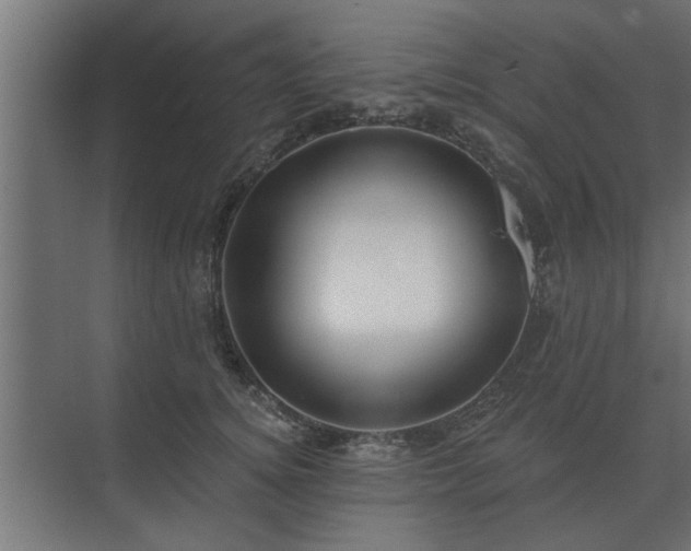 X0000075400756200609151820