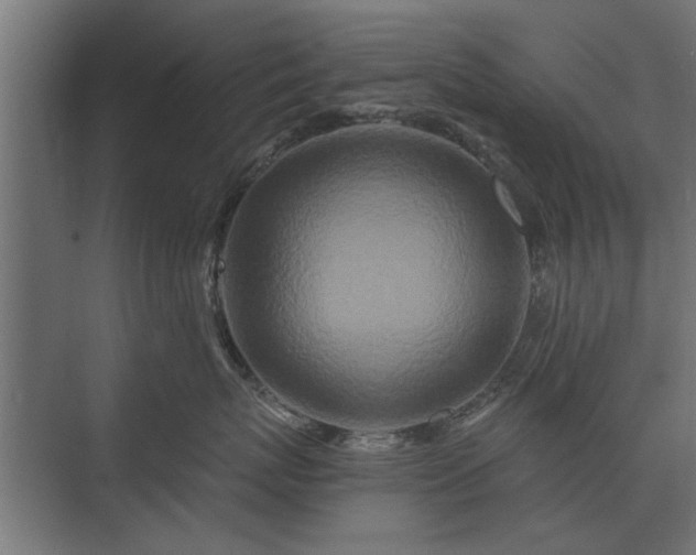 X0000075400767200609151820