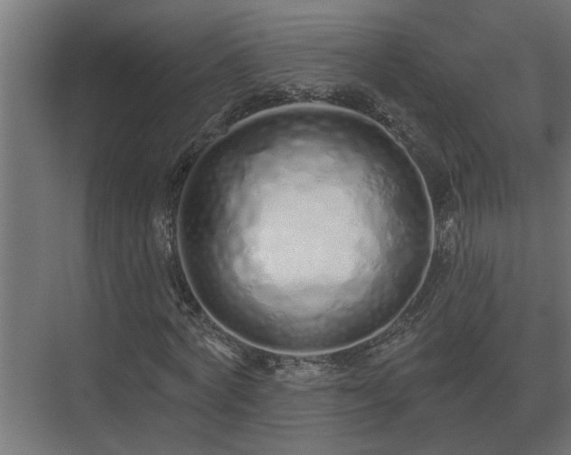 X0000075400772200609151819