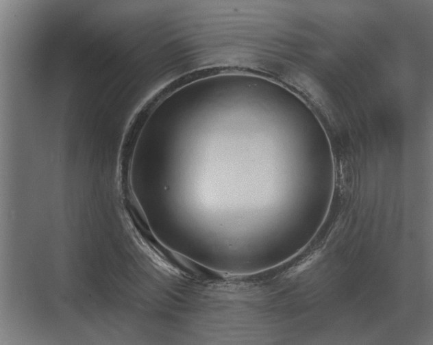 X0000075400780200609151819