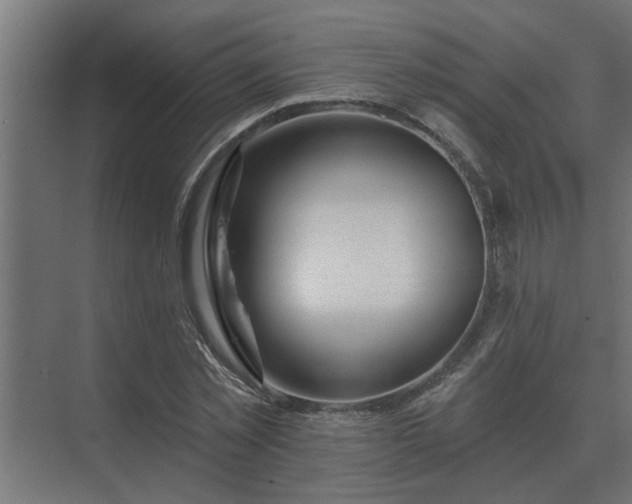 X0000075400781200609151819