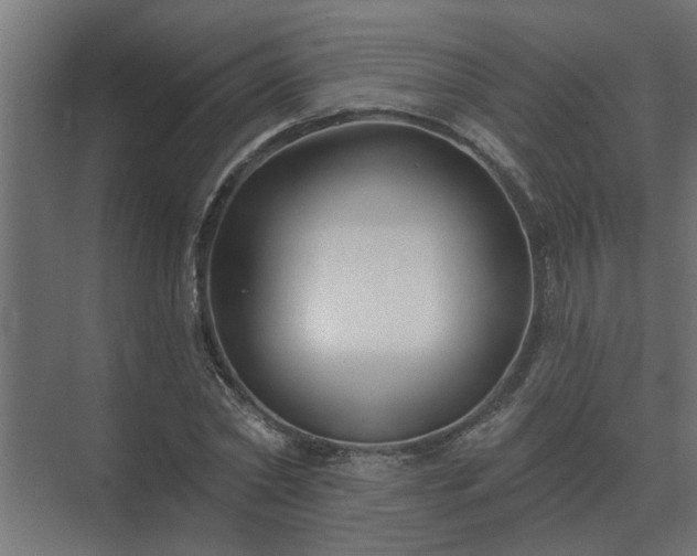 X0000075400782200609151819