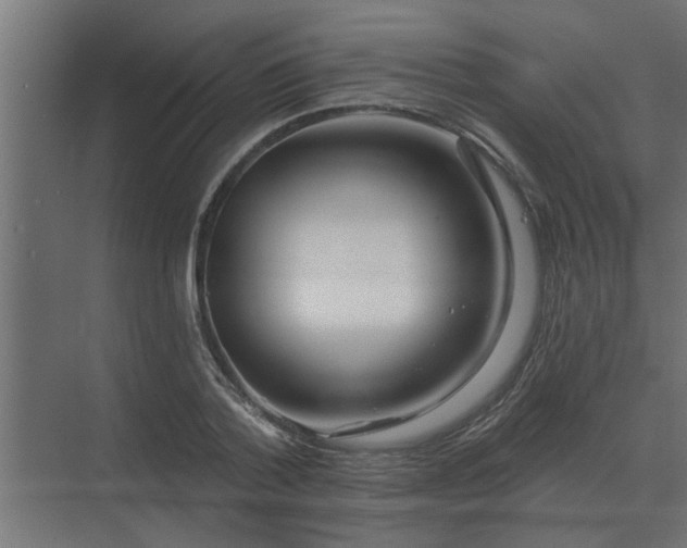 X0000075400788200609151819