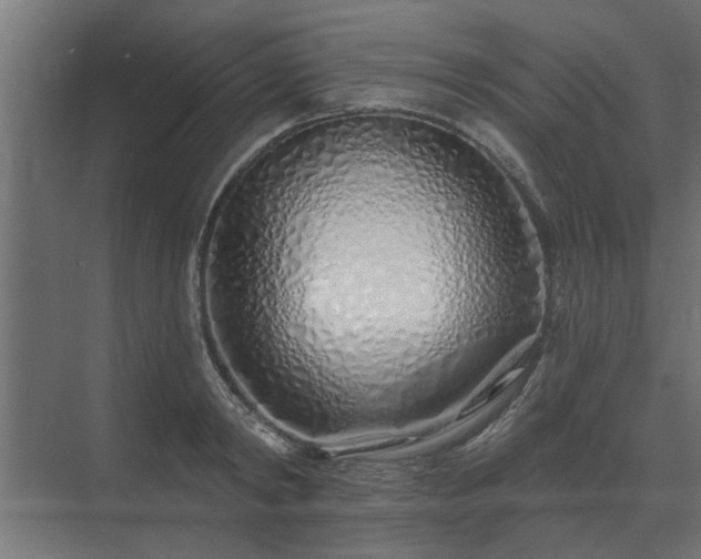 X0000075400798200609151819