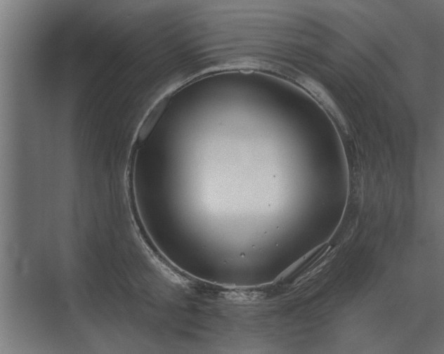 X0000075400805200609151819