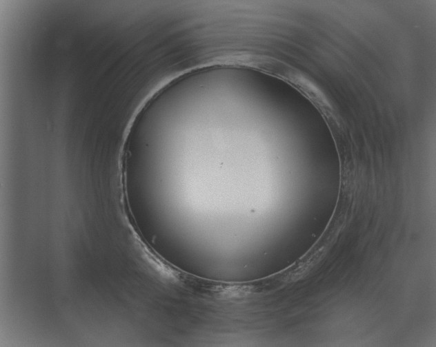 X0000075400808200609151819