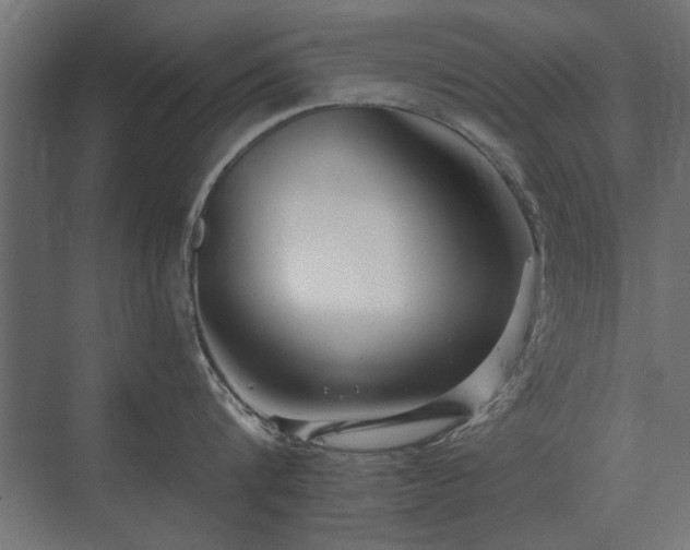 X0000075400816200609151819