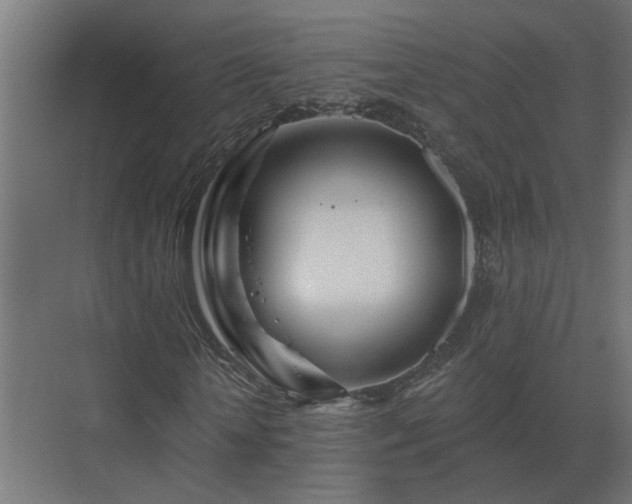 X0000075400818200609151818