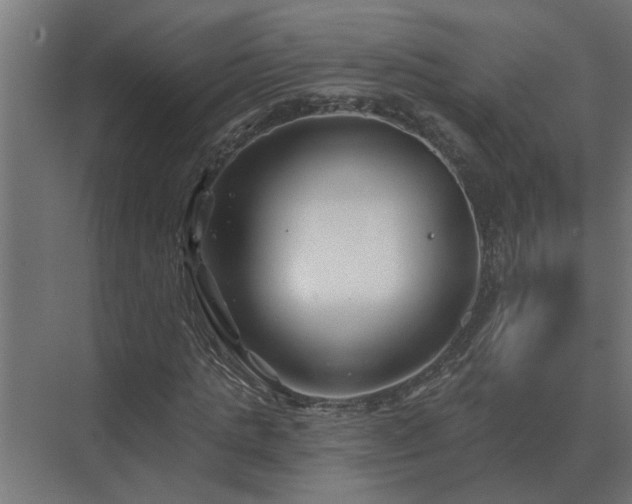 X0000075400821200609151818