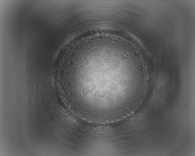 X0000075400823200609151818