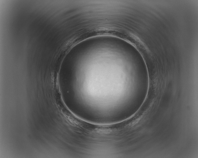 X0000075400825200609151818