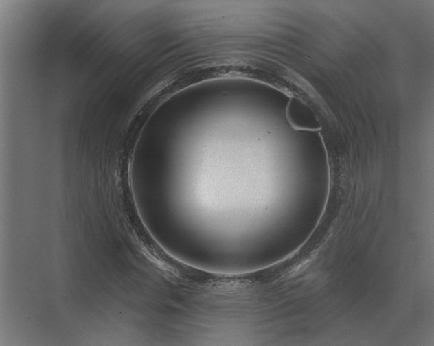 X0000075400826200609151818