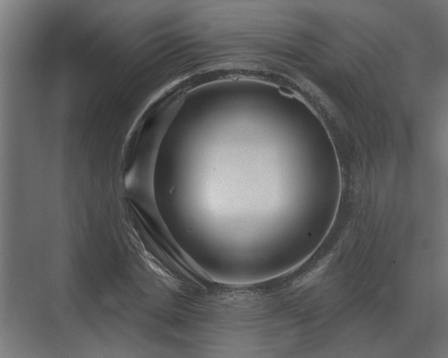 X0000075400830200609151818