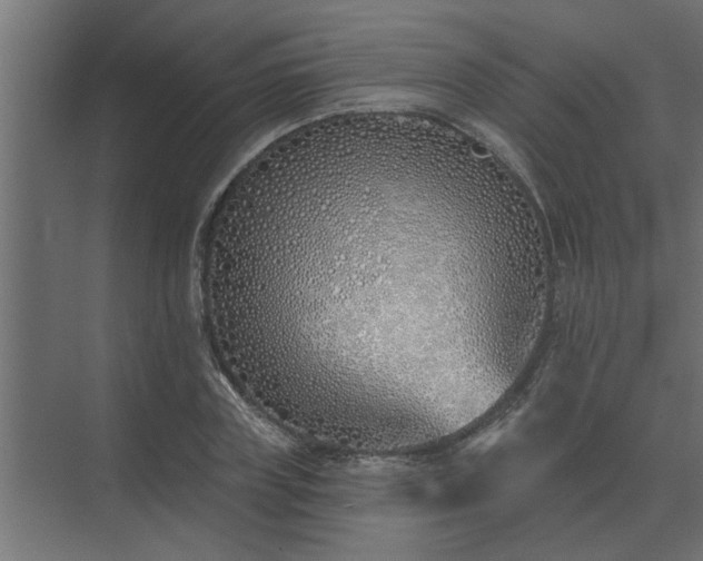 X0000075400835200609151818