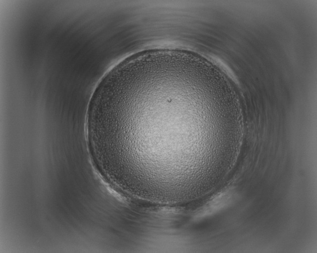 X0000075400839200609151818