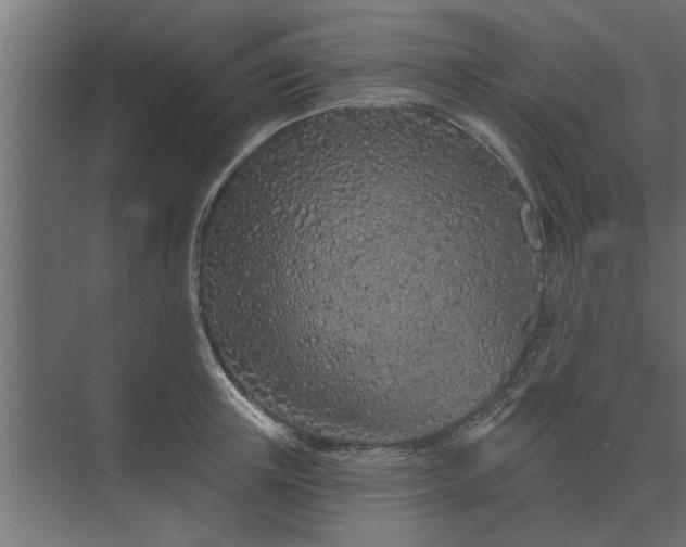 X0000075400851200609151818