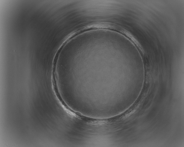 X0000075400853200609151818