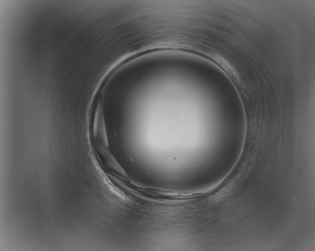 X0000075400854200609151818