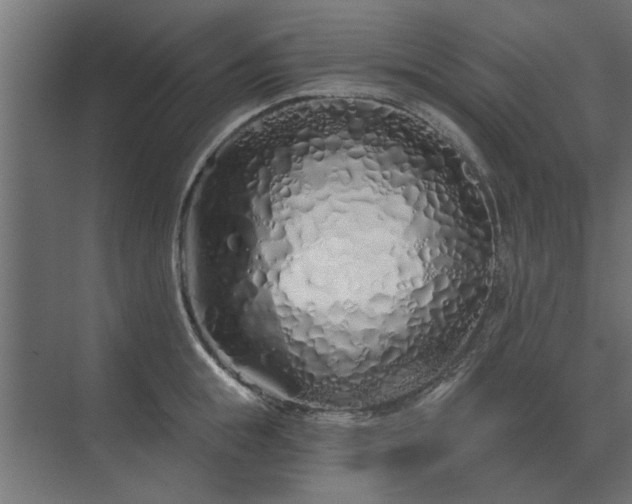 X0000075400855200609151818