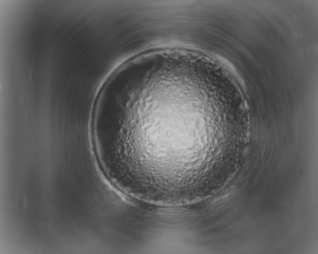 X0000075400863200609151819