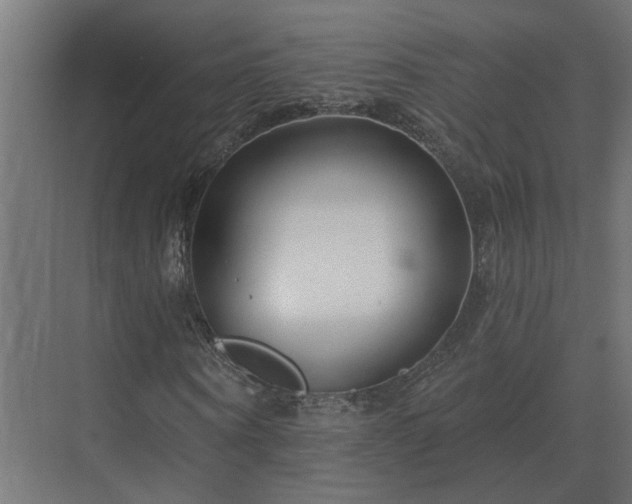 X0000075400866200609151818
