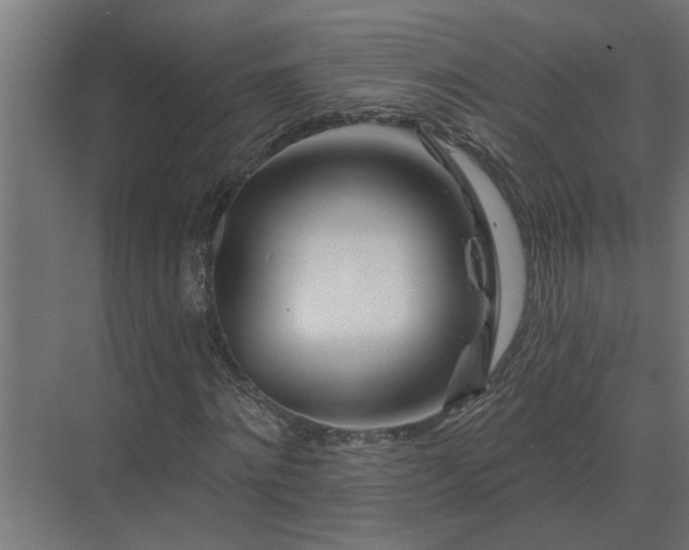 X0000075400868200609151818