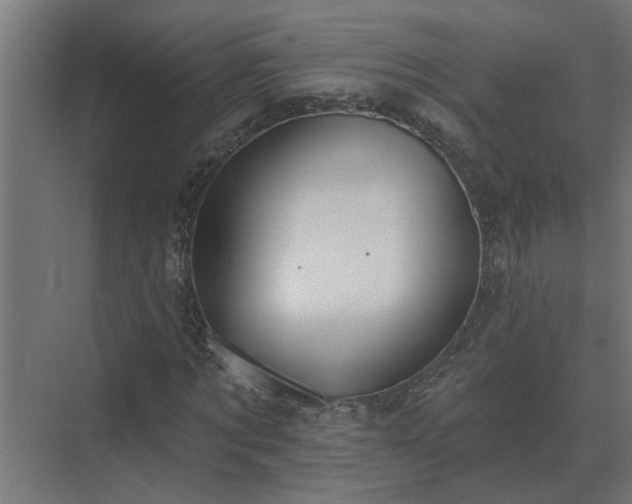 X0000075400869200609151818