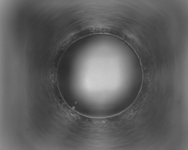 X0000075400870200609151818