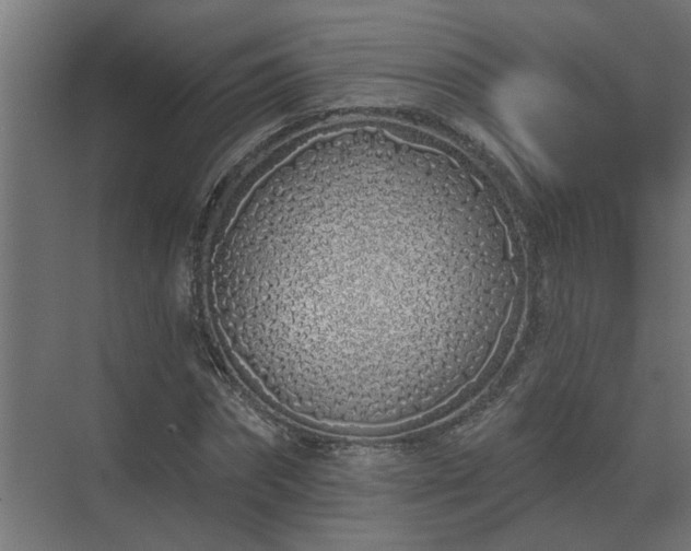 X0000075400874200609151818
